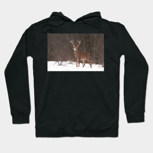 Bambi - White-tailed Buck Hoodie